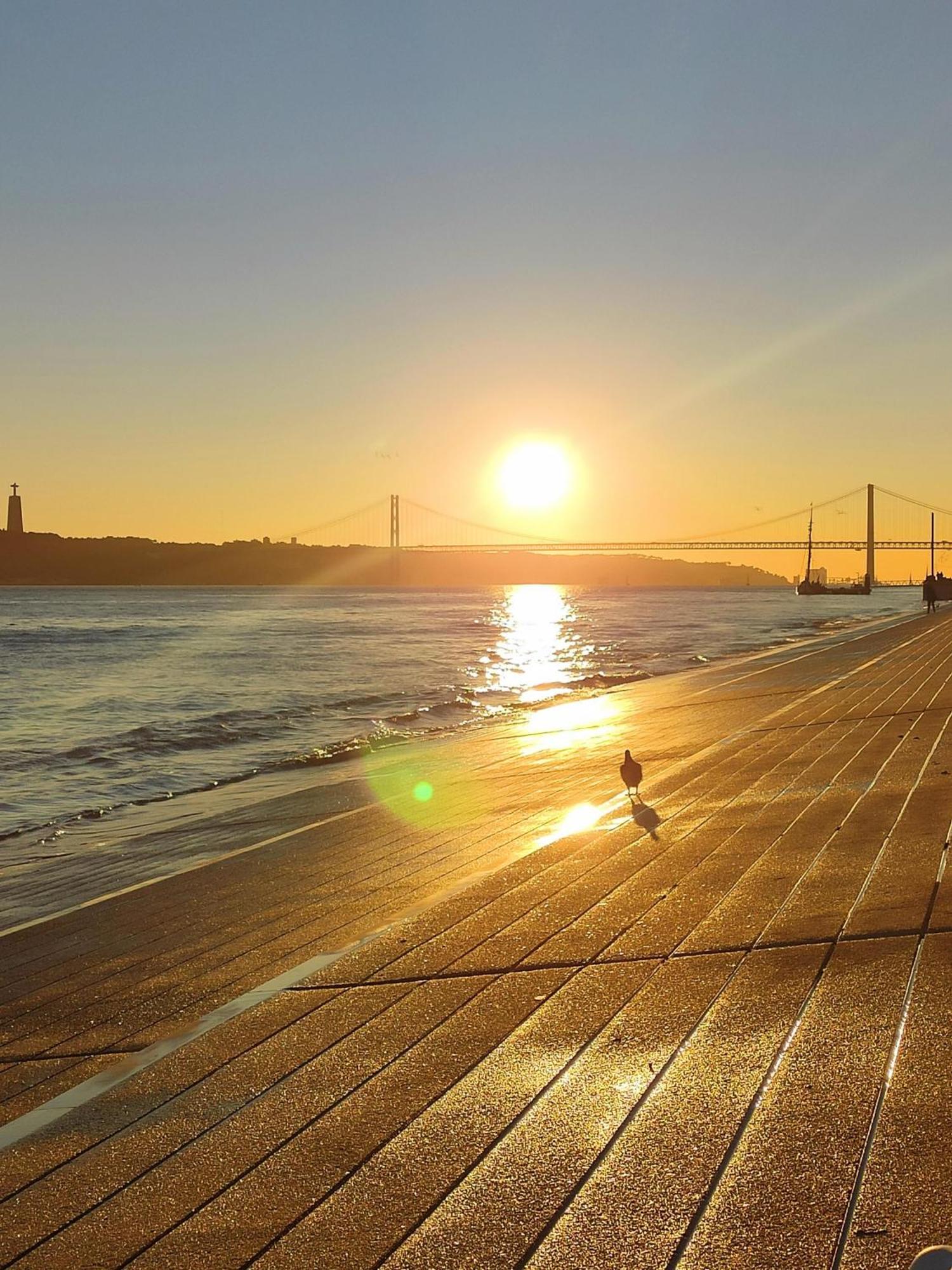 New Luxury Apartment - Lisbon Center Eksteriør billede